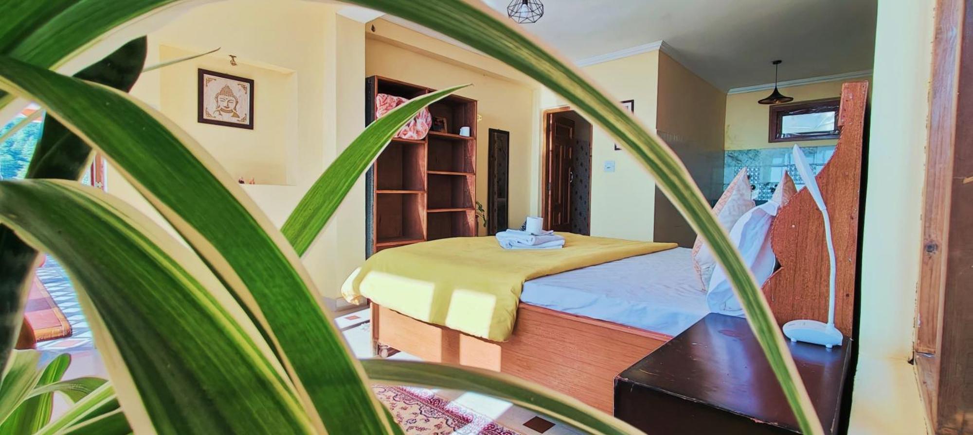 ダラムシャーラー The Unmad - Dharamkot Bed & Breakfast エクステリア 写真