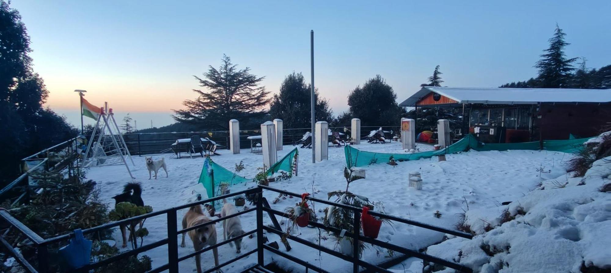 ダラムシャーラー The Unmad - Dharamkot Bed & Breakfast エクステリア 写真