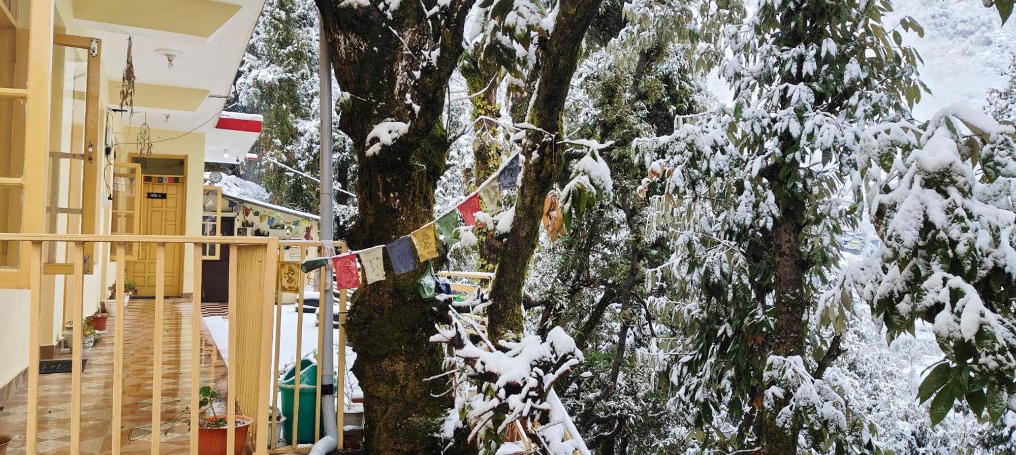 ダラムシャーラー The Unmad - Dharamkot Bed & Breakfast エクステリア 写真