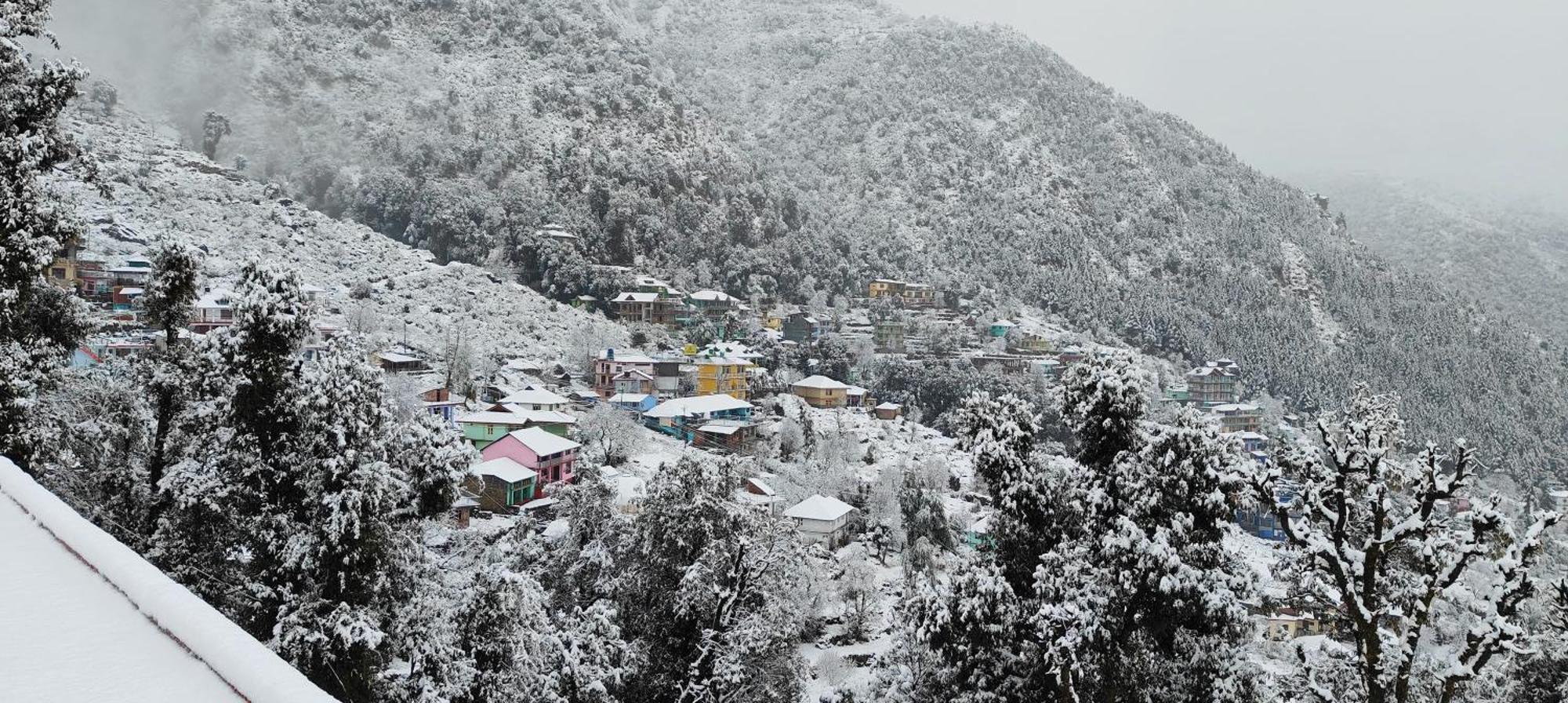 ダラムシャーラー The Unmad - Dharamkot Bed & Breakfast エクステリア 写真